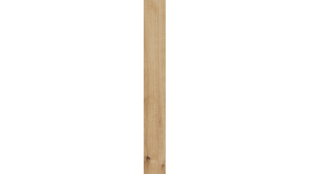Ragno