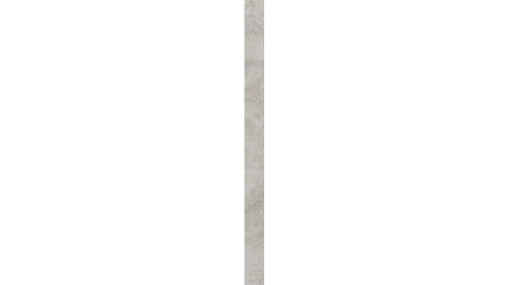 Ragno