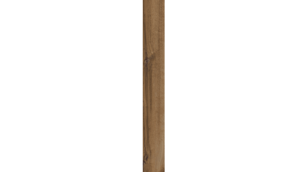 Ragno