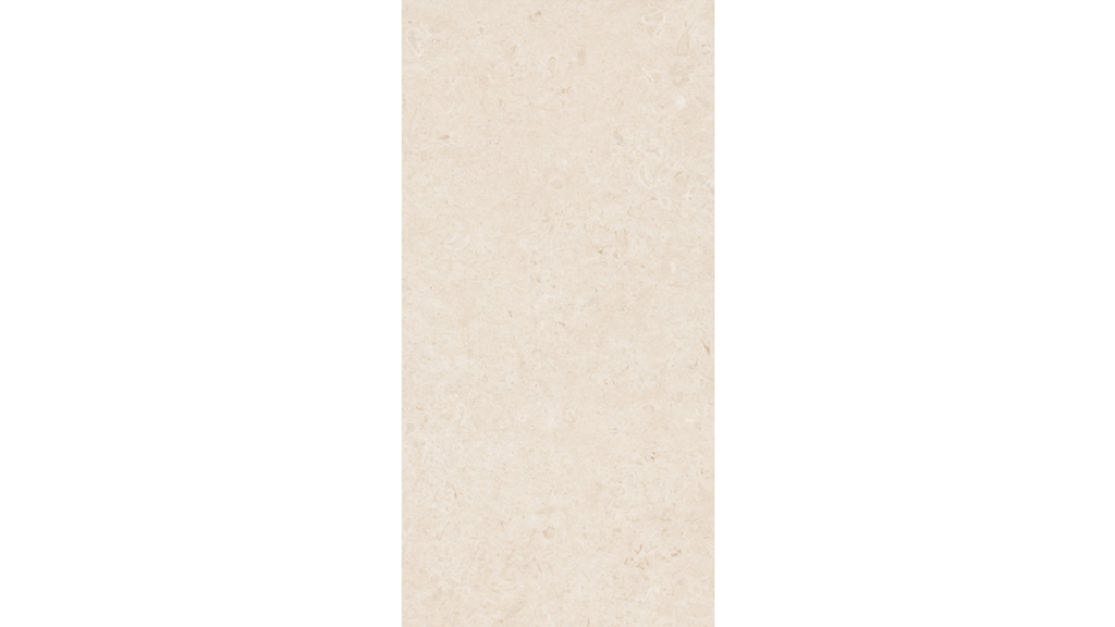 Ragno